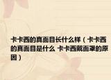 卡卡西的真面目長(zhǎng)什么樣（卡卡西的真面目是什么 卡卡西戴面罩的原因）