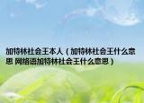 加特林社會王本人（加特林社會王什么意思 網絡語加特林社會王什么意思）