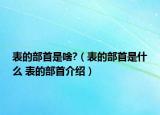 表的部首是啥?（表的部首是什么 表的部首介紹）