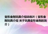 變形金剛玩具介紹動(dòng)畫片（變形金剛玩具介紹 關(guān)于玩具變形金剛的簡(jiǎn)介）