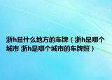 浙h是什么地方的車牌（浙h是哪個城市 浙h是哪個城市的車牌照）