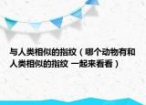 與人類(lèi)相似的指紋（哪個(gè)動(dòng)物有和人類(lèi)相似的指紋 一起來(lái)看看）