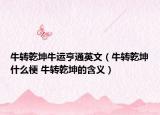 牛轉乾坤牛運亨通英文（牛轉乾坤什么梗 牛轉乾坤的含義）