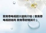 致青春電視劇大結(jié)局介紹（致青春電視劇結(jié)局 致青春劇情簡(jiǎn)介）