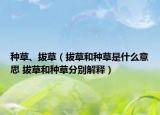 種草、拔草（拔草和種草是什么意思 拔草和種草分別解釋）