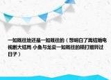 一如既往地還是一如既往的（想明白了再結(jié)婚電視劇大結(jié)局 小魚與龍夏一如既往的精打細(xì)算過日子）