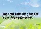 海月水母能活多長(zhǎng)時(shí)間（海月水母怎么養(yǎng) 海月水母的養(yǎng)殖技巧）