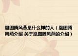 凰圖騰風燕是什么樣的人（凰圖騰風燕介紹 關(guān)于凰圖騰風燕的介紹）