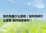 龍吟風是什么游戲（龍吟風噦什么意思 龍吟風噦造句）