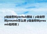 p站全稱叫porhub網(wǎng)址（p站全稱叫proumb怎么進(jìn) p站全稱叫proumb如何進(jìn)）