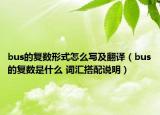 bus的復(fù)數(shù)形式怎么寫(xiě)及翻譯（bus的復(fù)數(shù)是什么 詞匯搭配說(shuō)明）