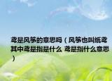 鳶是風箏的意思嗎（風箏也叫紙鳶其中鳶是指是什么 鳶是指什么意思）