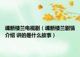 魂斷樓蘭電視?。ɑ陻鄻翘m劇情介紹 講的是什么故事）