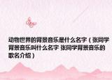 動物世界的背景音樂是什么名字（張同學背景音樂叫什么名字 張同學背景音樂的歌名介紹）