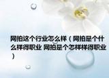 網(wǎng)拍這個行業(yè)怎么樣（網(wǎng)拍是個什么樣得職業(yè) 網(wǎng)拍是個怎樣樣得職業(yè)）
