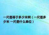 一尺是等于多少米?。ㄒ怀呤嵌嗌倜?一尺是什么單位）