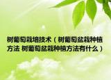樹葡萄栽培技術(shù)（樹葡萄盆栽種植方法 樹葡萄盆栽種植方法有什么）