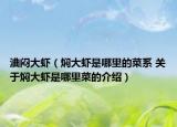 浀悶大蝦（燜大蝦是哪里的菜系 關于燜大蝦是哪里菜的介紹）