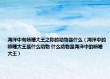 海洋中有瞌睡大王之稱的動物是什么（海洋中的瞌睡大王是什么動物 什么動物是海洋中的瞌睡大王）