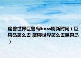 魔獸世界巨獸島boss刷新時間（巨獸島怎么去 魔獸世界怎么去巨獸島）