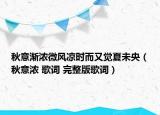 秋意漸濃微風(fēng)涼時(shí)而又覺夏未央（秋意濃 歌詞 完整版歌詞）