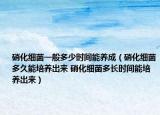 硝化細(xì)菌一般多少時(shí)間能養(yǎng)成（硝化細(xì)菌多久能培養(yǎng)出來 硝化細(xì)菌多長(zhǎng)時(shí)間能培養(yǎng)出來）