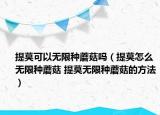 提莫可以無(wú)限種蘑菇嗎（提莫怎么無(wú)限種蘑菇 提莫無(wú)限種蘑菇的方法）
