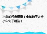 小年的經(jīng)典語錄（小年句子大全 小年句子精選）