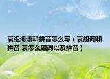 哀組詞語(yǔ)和拼音怎么寫(xiě)（哀組詞和拼音 哀怎么組詞以及拼音）
