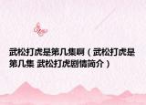武松打虎是第幾集?。ㄎ渌纱蚧⑹堑趲准?武松打虎劇情簡介）