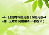 ntr什么意思網(wǎng)絡(luò)用語（網(wǎng)絡(luò)用語ntr是什么意思 網(wǎng)絡(luò)用語ntr的含義）