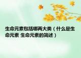 生命元素包括哪兩大類（什么是生命元素 生命元素的簡(jiǎn)述）