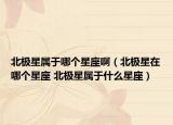 北極星屬于哪個星座啊（北極星在哪個星座 北極星屬于什么星座）
