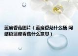 藍(lán)瘦香菇圖片（藍(lán)瘦香菇什么梗 網(wǎng)絡(luò)語(yǔ)藍(lán)瘦香菇什么意思）