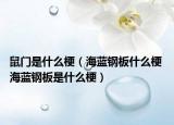 鼠門是什么梗（海藍(lán)鋼板什么梗 海藍(lán)鋼板是什么梗）
