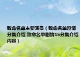致命名單主要演員（致命名單劇情分集介紹 致命名單劇情15分集介紹內(nèi)容）