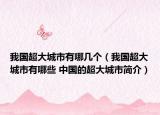 我國超大城市有哪幾個(gè)（我國超大城市有哪些 中國的超大城市簡介）