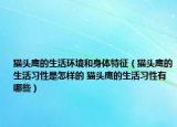 貓頭鷹的生活環(huán)境和身體特征（貓頭鷹的生活習性是怎樣的 貓頭鷹的生活習性有哪些）
