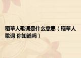 稻草人歌詞是什么意思（稻草人歌詞 你知道嗎）