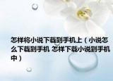 怎樣將小說下載到手機上（小說怎么下載到手機 怎樣下載小說到手機中）