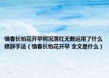 惜春長怕花開早何況落紅無數(shù)運用了什么修辭手法（惜春長怕花開早 全文是什么）