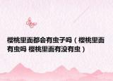 櫻桃里面都會(huì)有蟲子嗎（櫻桃里面有蟲嗎 櫻桃里面有沒(méi)有蟲）