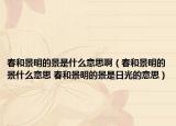 春和景明的景是什么意思?。ù汉途懊鞯木笆裁匆馑?春和景明的景是日光的意思）