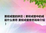 夏蚊成雷的拼音（夏蚊成雷中的成是什么意思 夏蚊成雷意思簡單介紹）