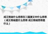 成王敗寇什么意思在三國(guó)演義中什么意思（成王敗寇是什么意思 成王敗寇意思是什么）