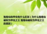 獨(dú)角仙和甲蟲有什么區(qū)別（為什么獨(dú)角仙被稱為甲蟲之王 獨(dú)角仙被稱為甲蟲之王的原因）