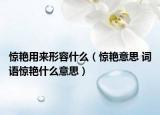 驚艷用來形容什么（驚艷意思 詞語驚艷什么意思）
