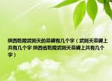 陜西乾陵武則天的墓碑有幾個字（武則天墓碑上共有幾個字 陜西省乾陵武則天墓碑上共有幾個字）