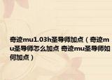 奇跡mu1.03h圣導師加點（奇跡mu圣導師怎么加點 奇跡mu圣導師如何加點）
