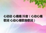 心動(dòng)動(dòng) 心痛痛 抖音（心動(dòng)心痛歌詞 心動(dòng)心痛歌曲歌詞）